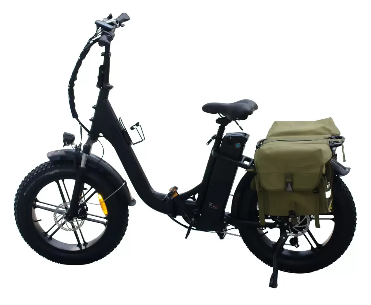 Step-thru, Foldable, and Fat Tire EBike