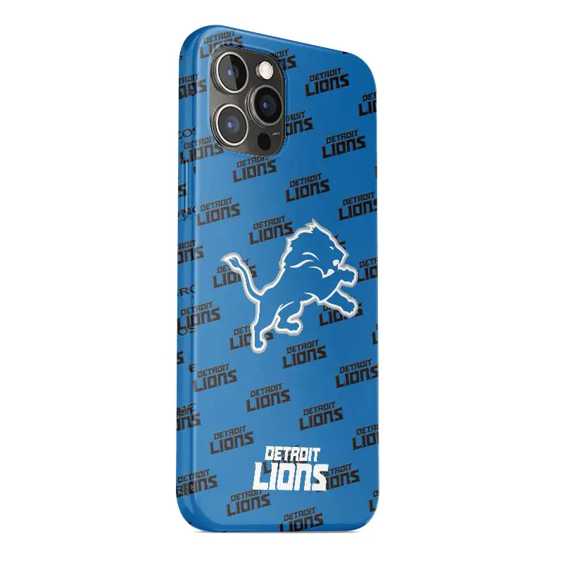 Detroit Lions Fans Box