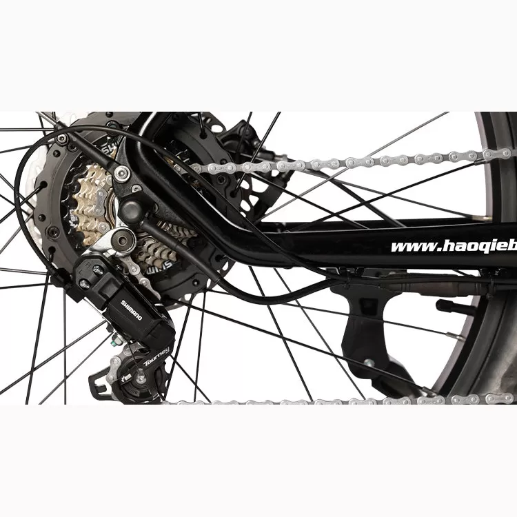 🔥Outdoor electric car with a battery life of 100 miles