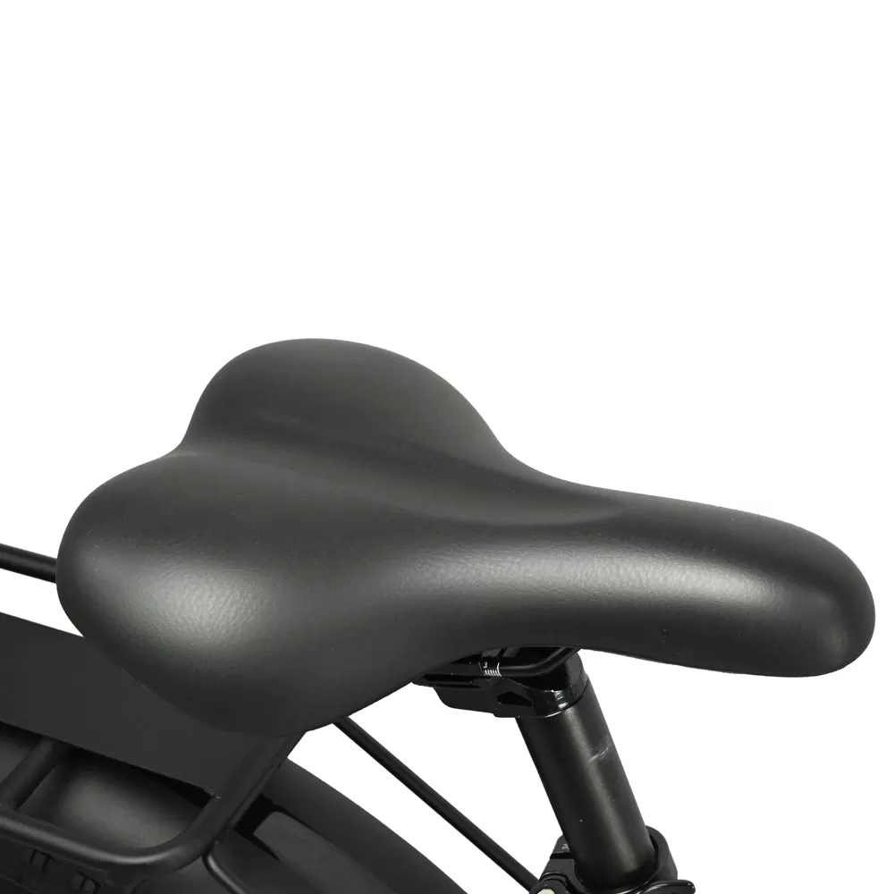 E-bike DP2620 All-in-one Tire 48V 13AH 750W Performance Motor