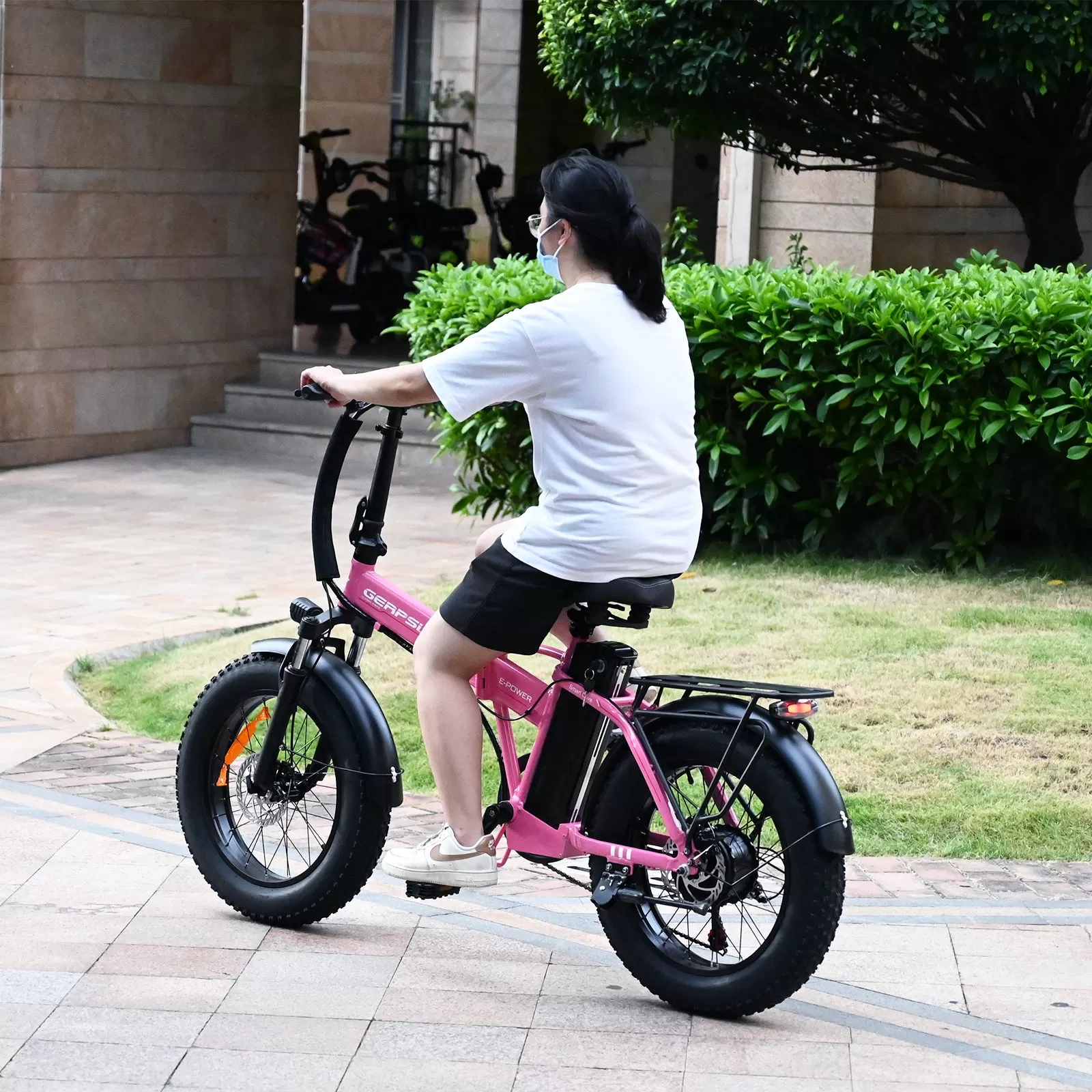 E-BIKE DZ2002 48V 13Ah 500W Performance Motor