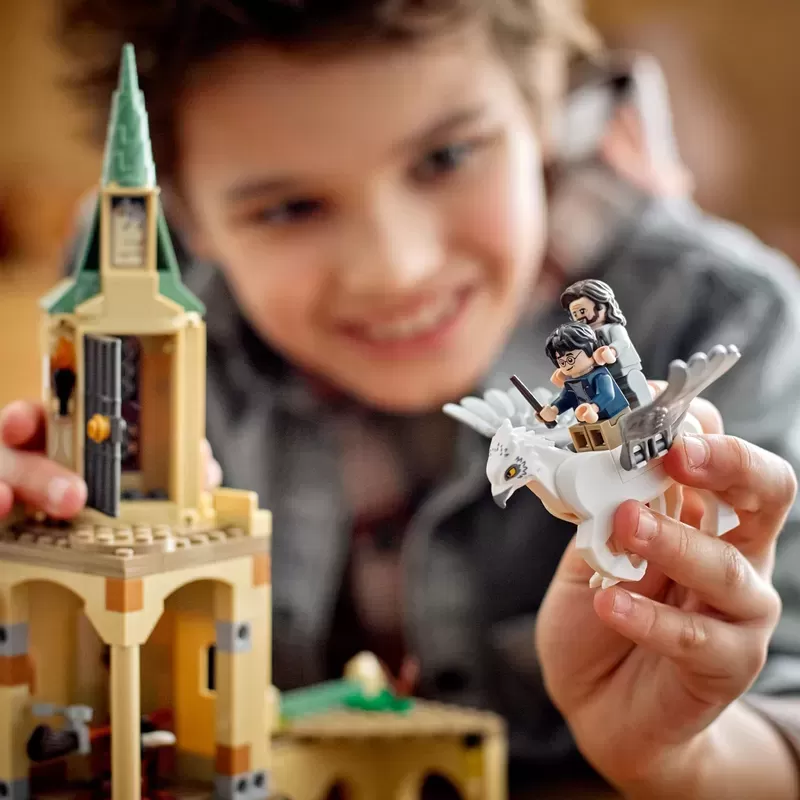 ® 76401 HARRY POTTER™ HOGWARTS™ COURTYARD: SIRIUS’S RESCUE BUILDING KIT