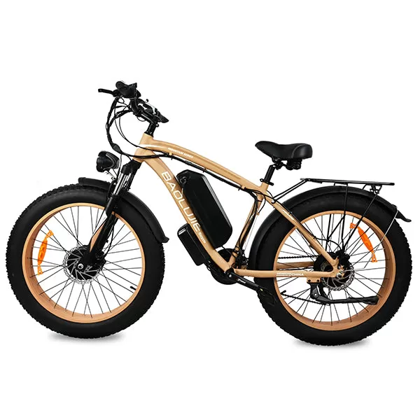 E-bike DP2602 48V 1000W*2 Dual Motor Hurricane Series