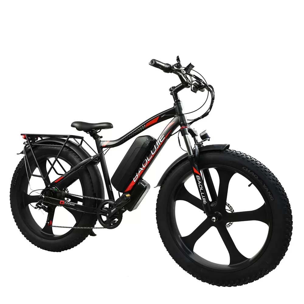 E-bike DP2620 All-in-one Tire 48V 13AH 750W Performance Motor