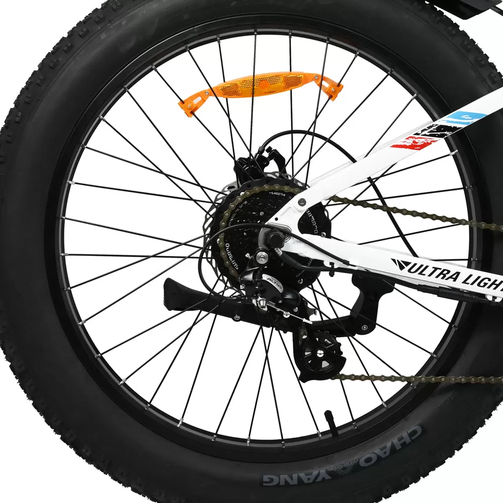 E-bike DP2615 Eel Shock Absorbers 48V12AH 26