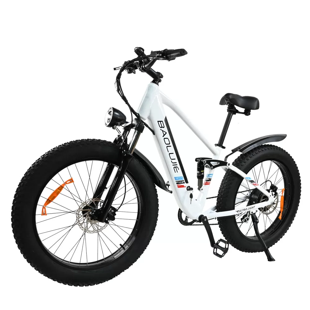 E-bike DP2615 Eel Shock Absorbers 48V12AH 26