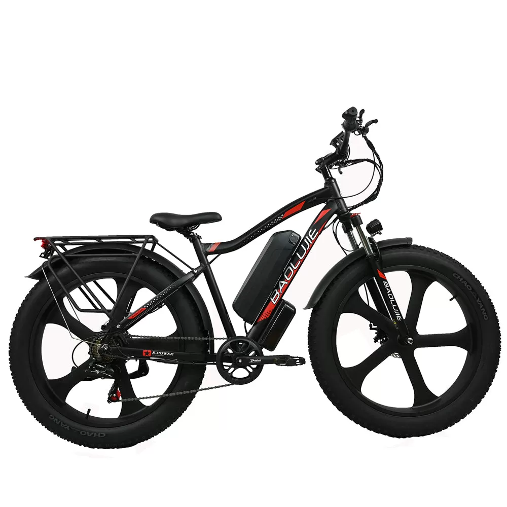 E-bike DP2620 All-in-one Tire 48V 13AH 750W Performance Motor