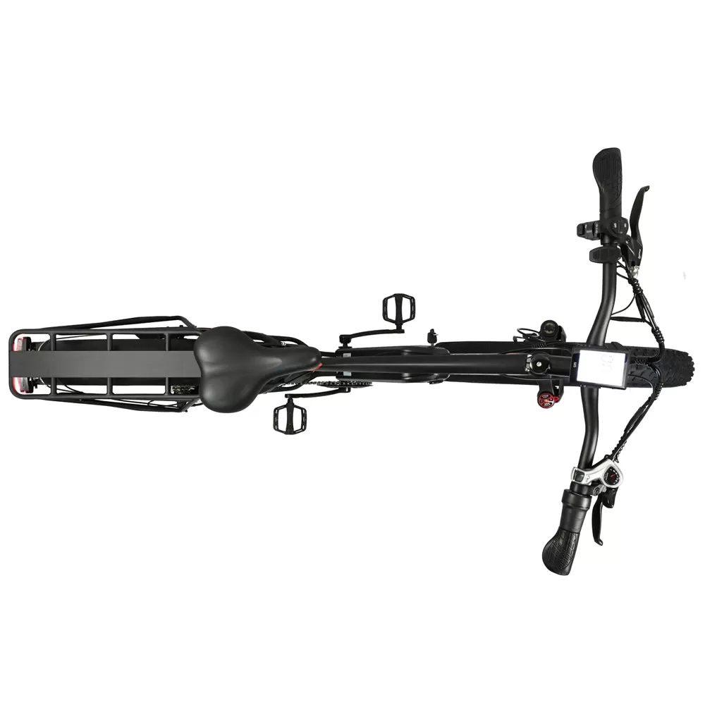 E-bike DP2620 All-in-one Tire 48V 13AH 750W Performance Motor