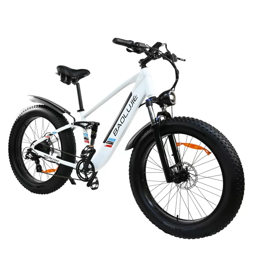 E-bike DP2615 Eel Shock Absorbers 48V12AH 26