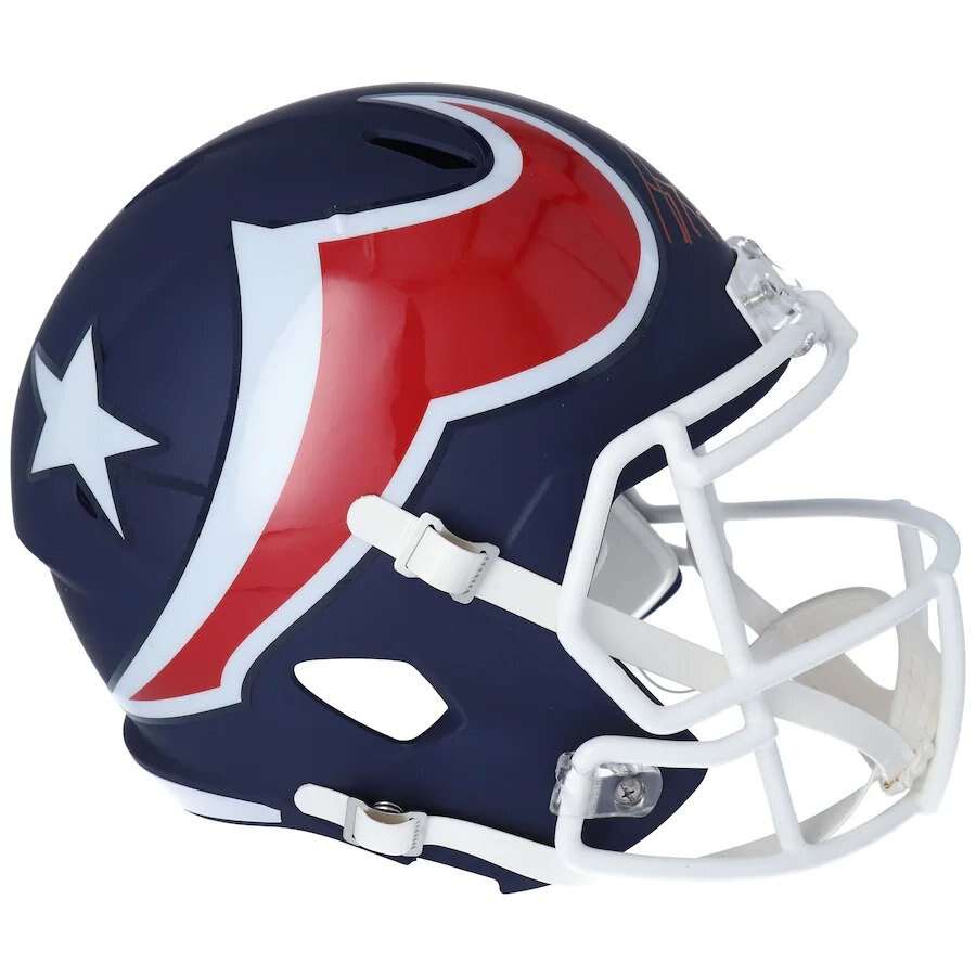 Houston Texans Box-bulls On Parade