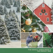 22 0z.Tree Farm Festival