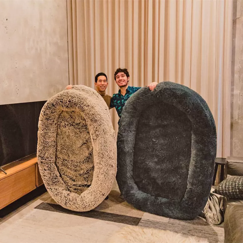 💥 Last Day - The Dog Bed for Humans