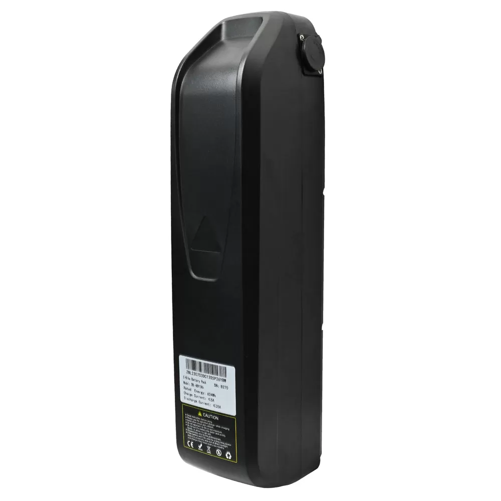 E-bike DP2620 All-in-one Tire 48V 13AH 750W Performance Motor