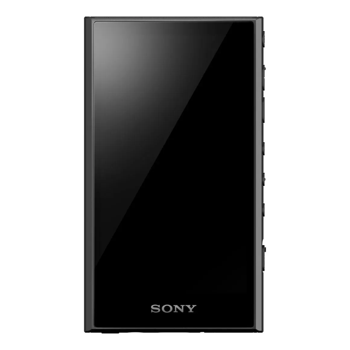 NW-A306 Walkman® A Series