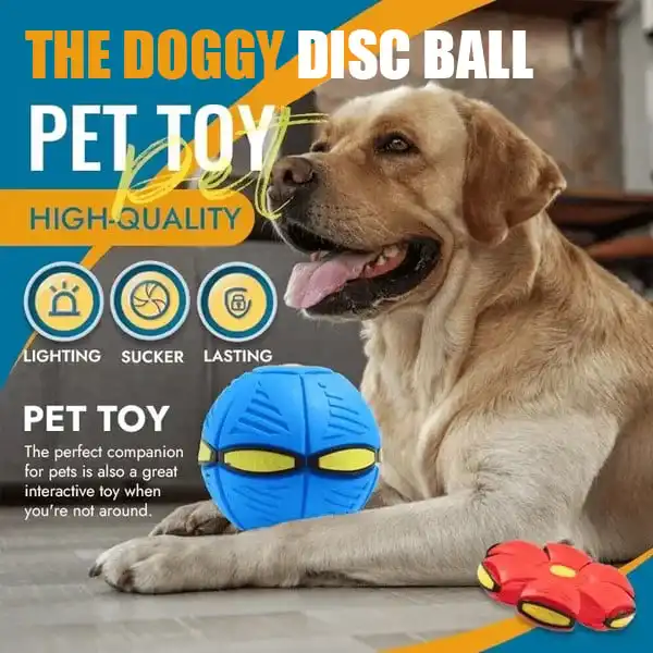 🎅Hot Sale Only $9.99 Now🐶The Doggy Disc Ball - Non-Stop Fun For Your Pets!💞