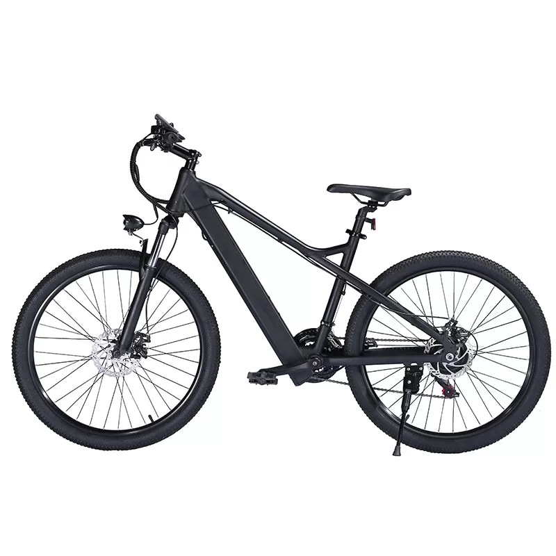 E-bike BK7 36V 10Ah 350W Motor Electric Ebike