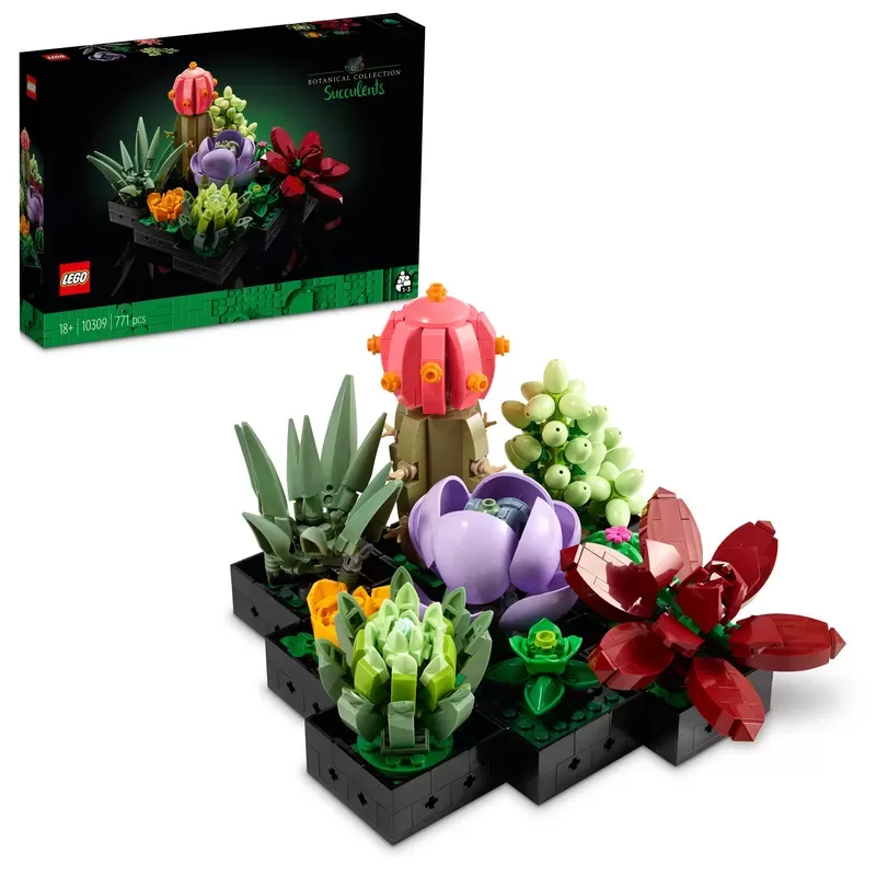 SUCCULENTS 10309 PLANT DECOR BUILDING KIT