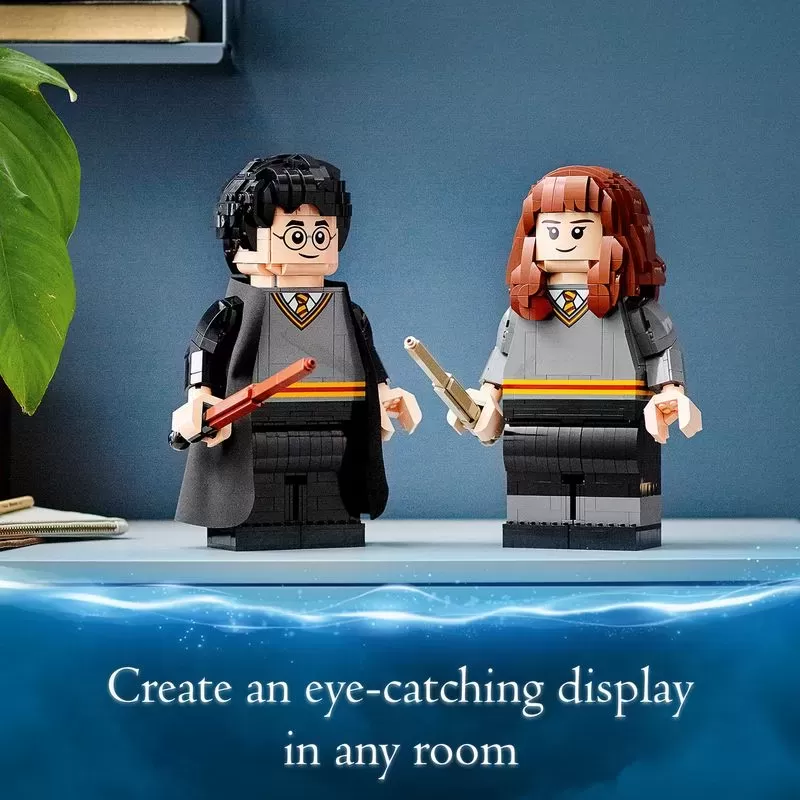 76393 HARRY POTTER HARRY POTTER & HERMIONE GRANGER
