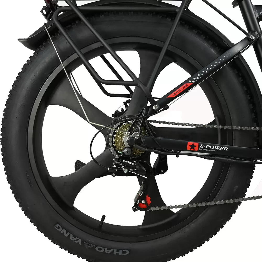 E-bike DP2620 All-in-one Tire 48V 13AH 750W Performance Motor