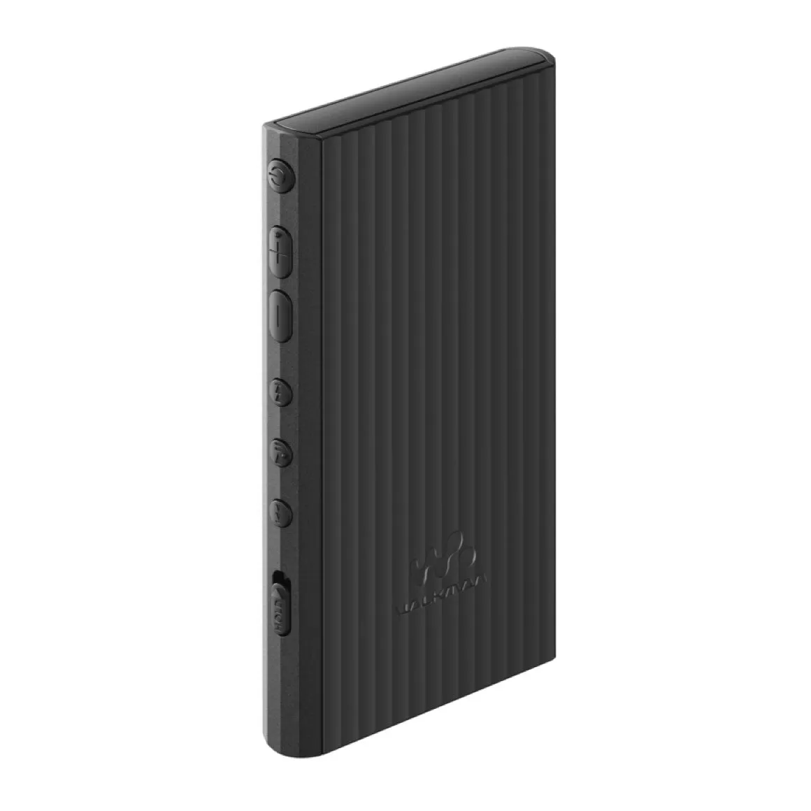 NW-A306 Walkman® A Series