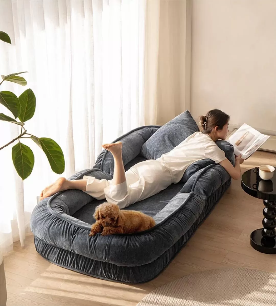 Summer Sale - The Dog Bed for Humans