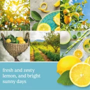 22 oz-Sicilian Lemon