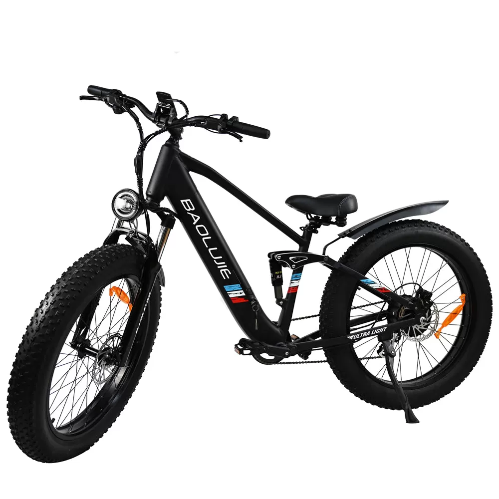 E-bike DP2615 Eel Shock Absorbers 48V12AH 26