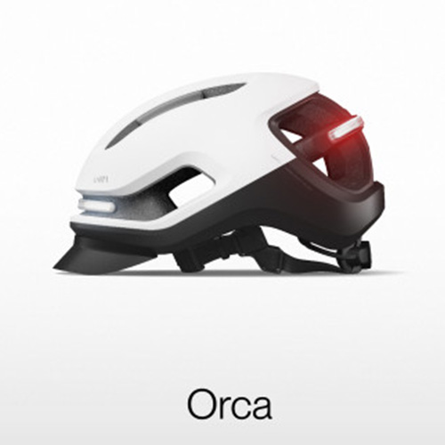 Hybrid Smart Helmet