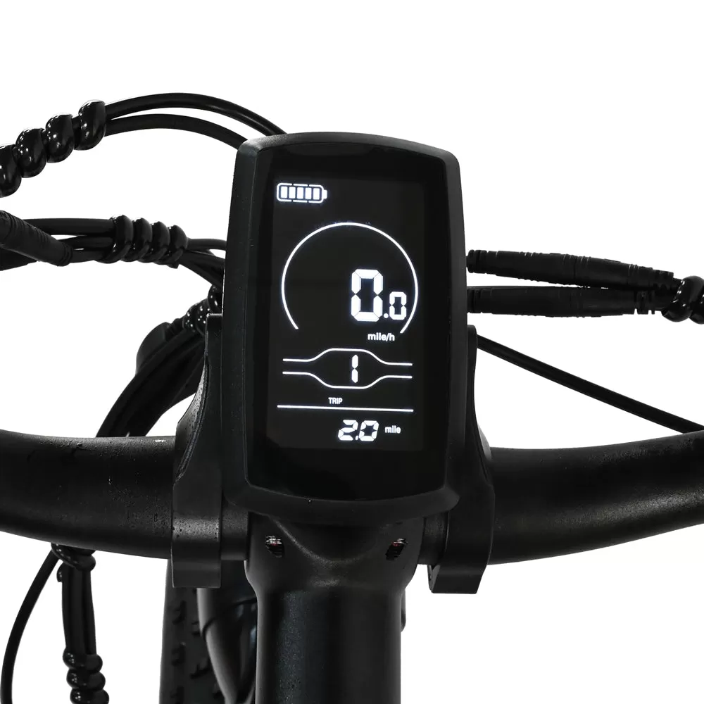 E-bike DP2615 Eel Shock Absorbers 48V12AH 26