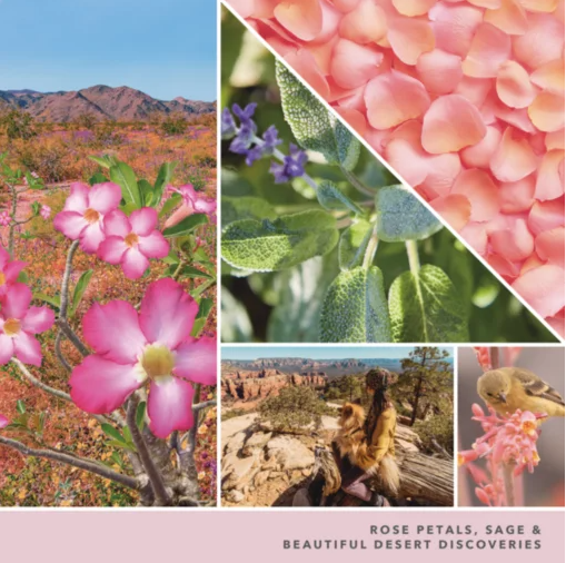 Desert Blooms