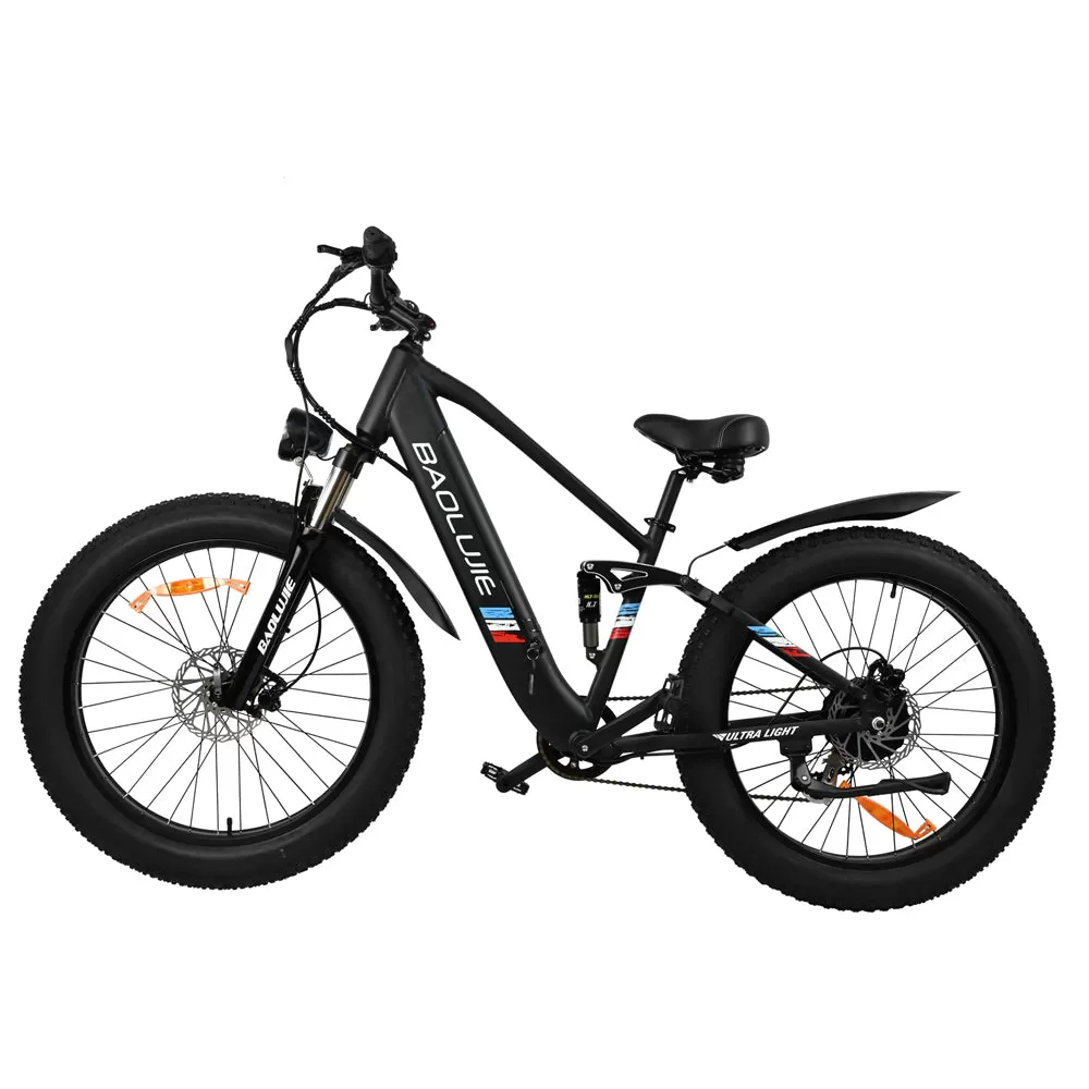 E-bike DP2615 Eel Shock Absorbers 48V12AH 26