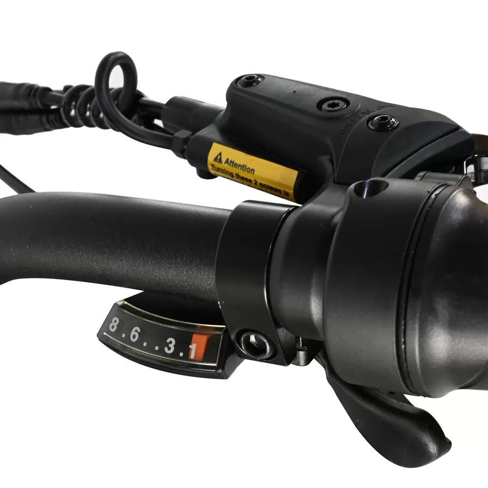E-bike DP2615 Eel Shock Absorbers 48V12AH 26