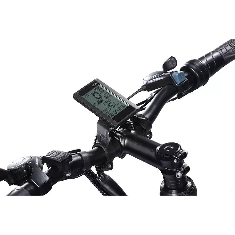 E-bike BK7 36V 10Ah 350W Motor Electric Ebike