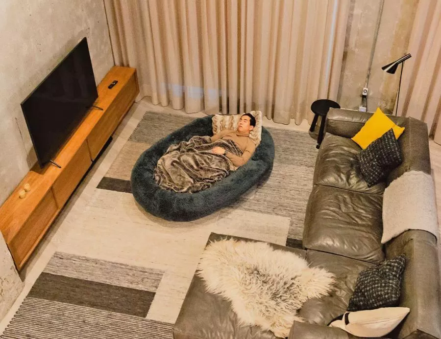 💥 Last Day - The Dog Bed for Humans