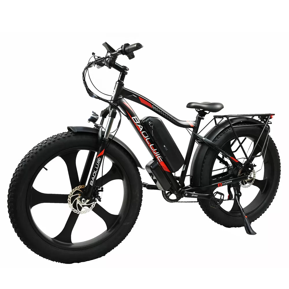 E-bike DP2620 All-in-one Tire 48V 13AH 750W Performance Motor