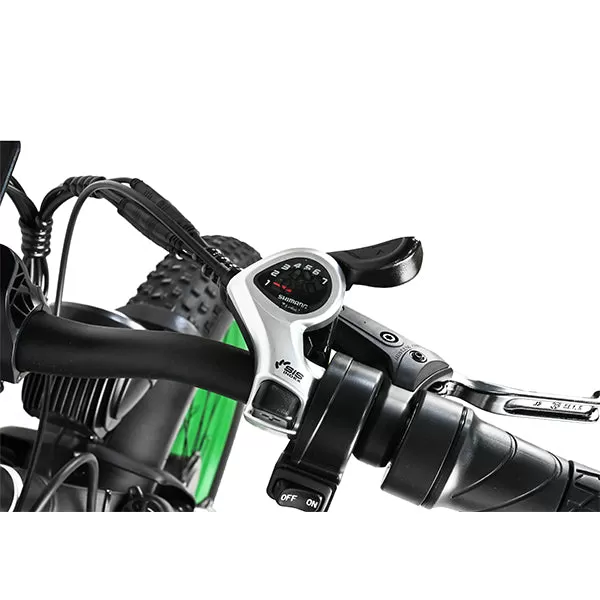 E-bike DP2602 48V 1000W*2 Dual Motor Hurricane Series
