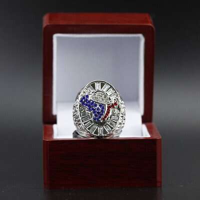 Houston Texans Box-bulls On Parade