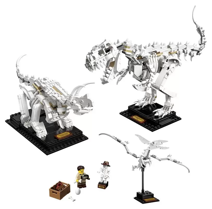 21320 IDEAS DINOSAUR FOSSILS