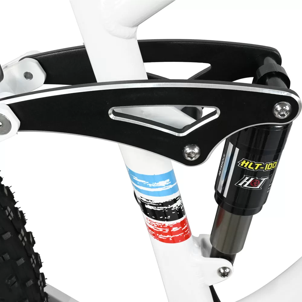 E-bike DP2615 Eel Shock Absorbers 48V12AH 26