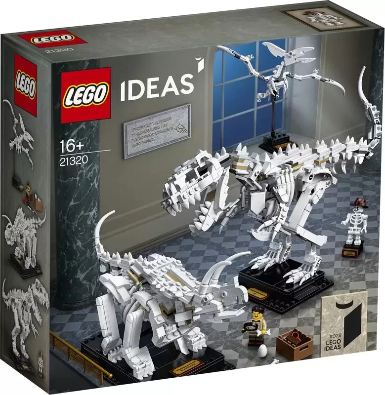 21320 IDEAS DINOSAUR FOSSILS