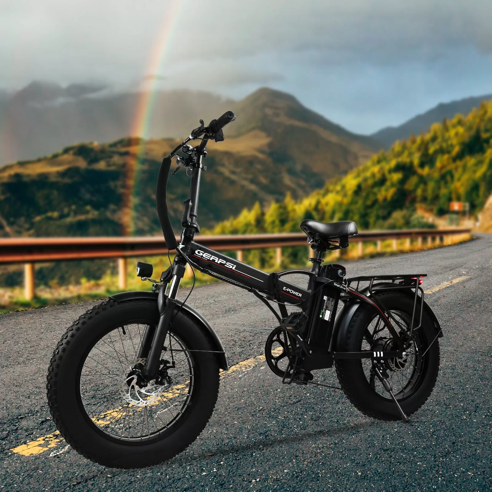 E-BIKE DZ2002 48V 13Ah 500W Performance Motor