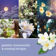 22 0z.Midnight Jasmine