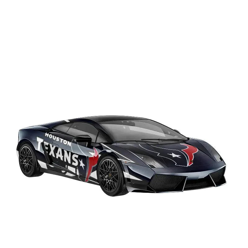 Houston Texans Fans Box