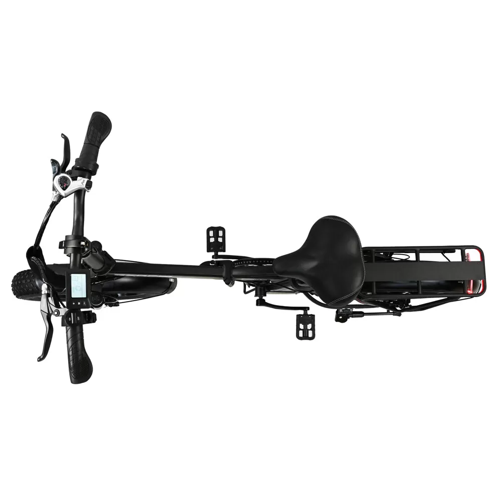 E-BIKE DZ2002 48V 13Ah 500W Performance Motor