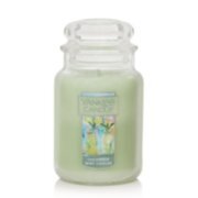 22 oz-Cucumber Mint Cooler