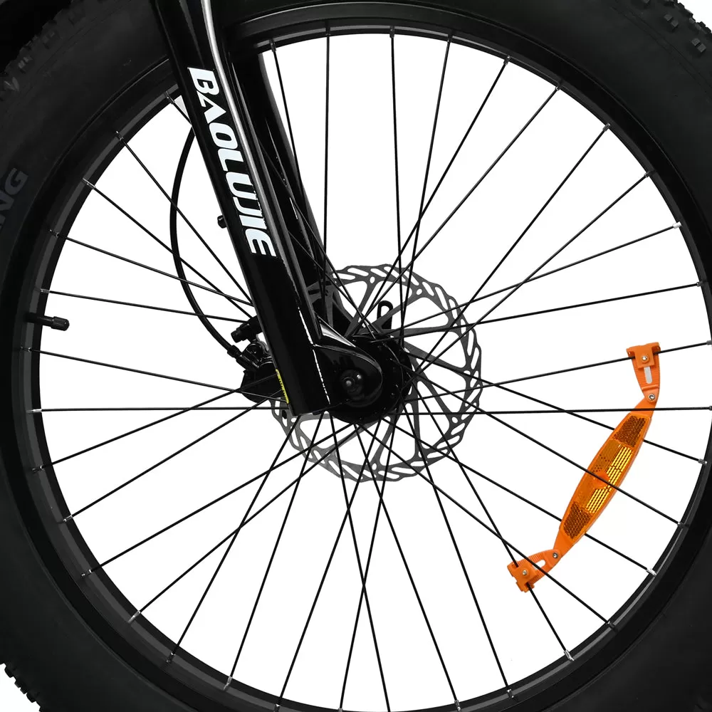 E-bike DP2615 Eel Shock Absorbers 48V12AH 26