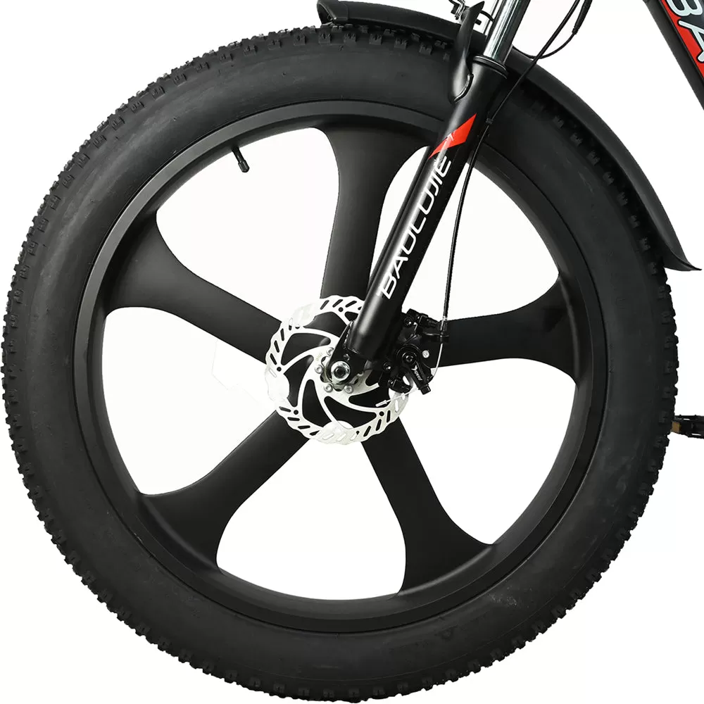 E-bike DP2620 All-in-one Tire 48V 13AH 750W Performance Motor