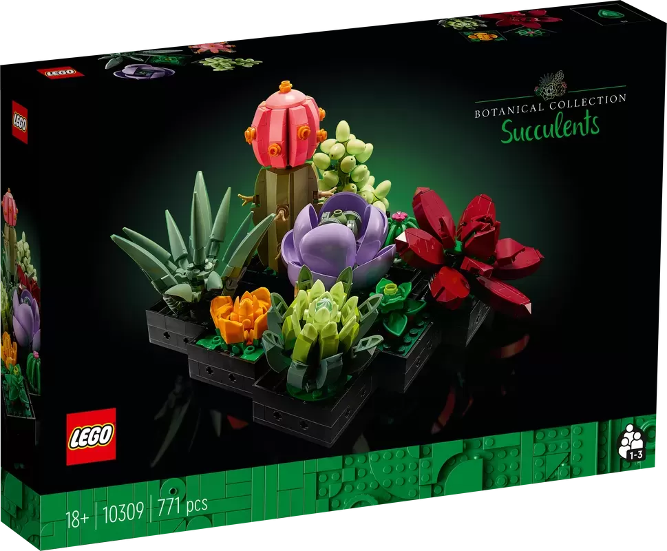 SUCCULENTS 10309 PLANT DECOR BUILDING KIT
