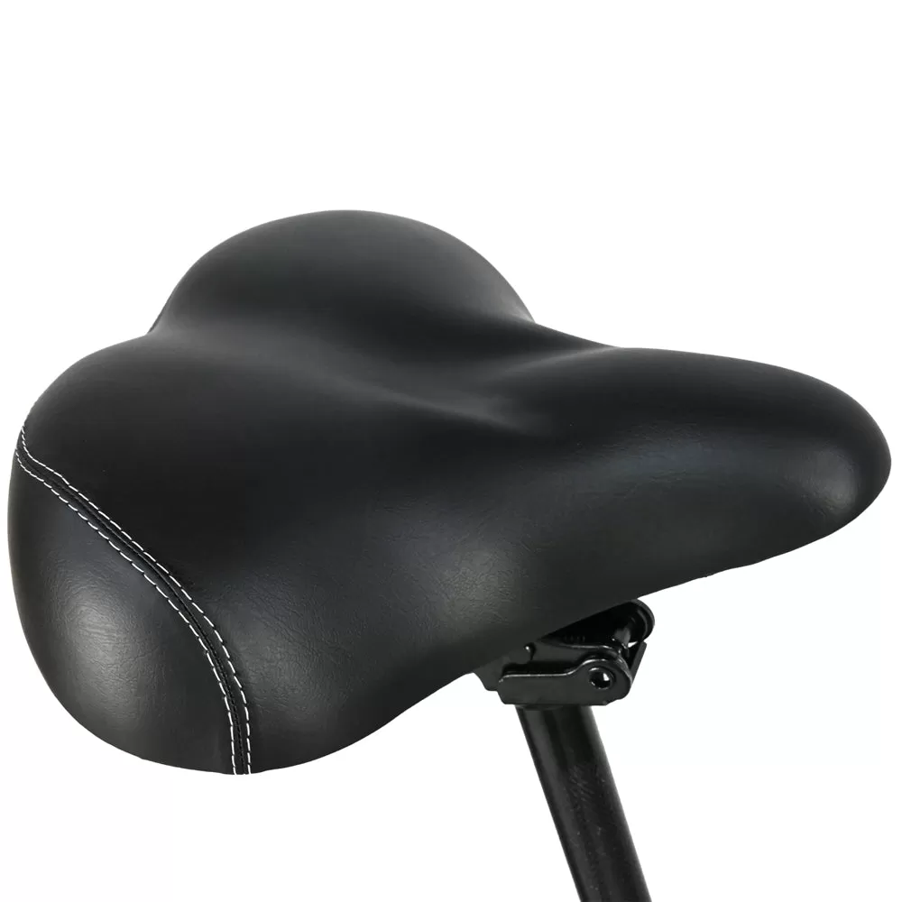 E-BIKE DZ2002 48V 13Ah 500W Performance Motor