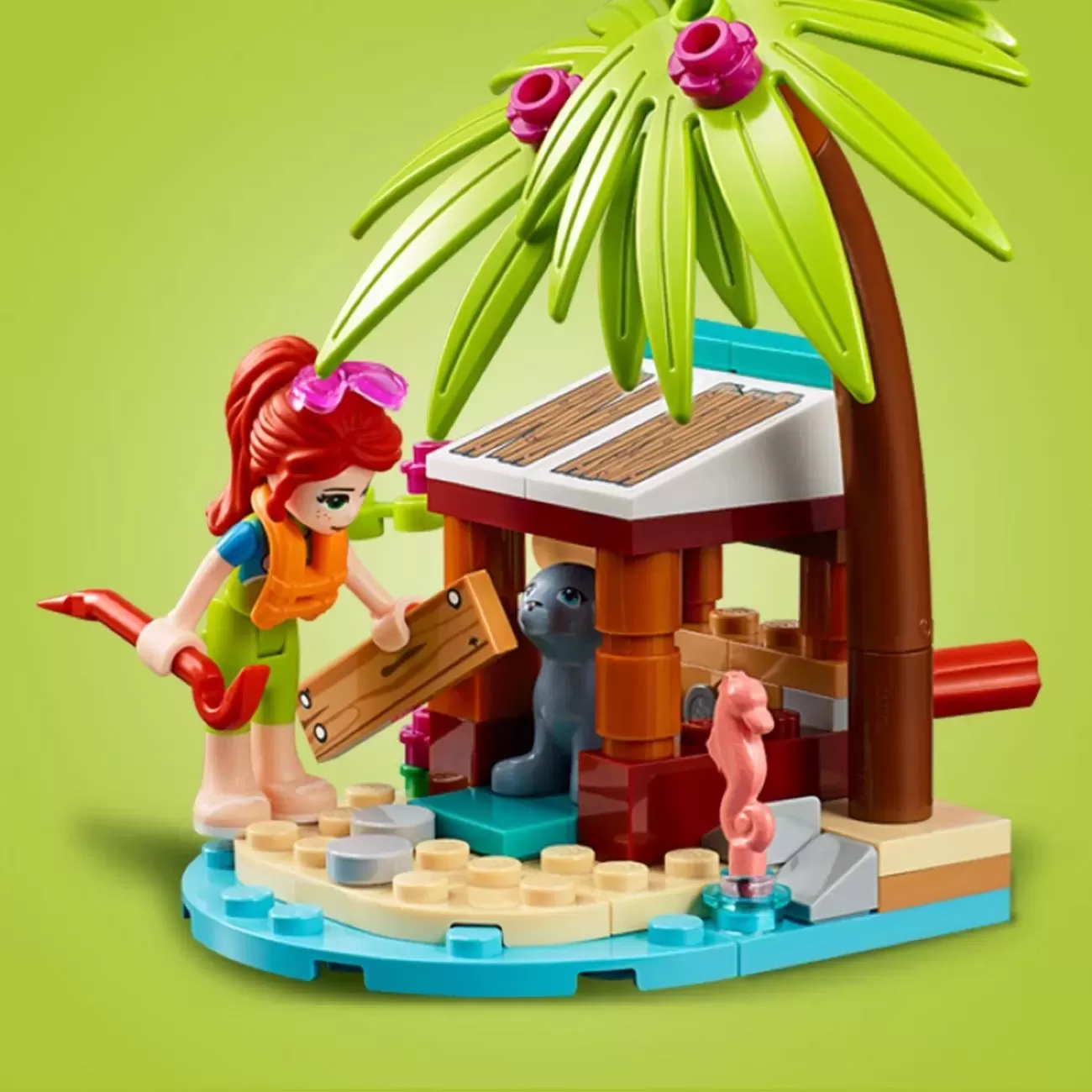 41380 FRIENDS LIGHTHOUSE RESCUE CENTER